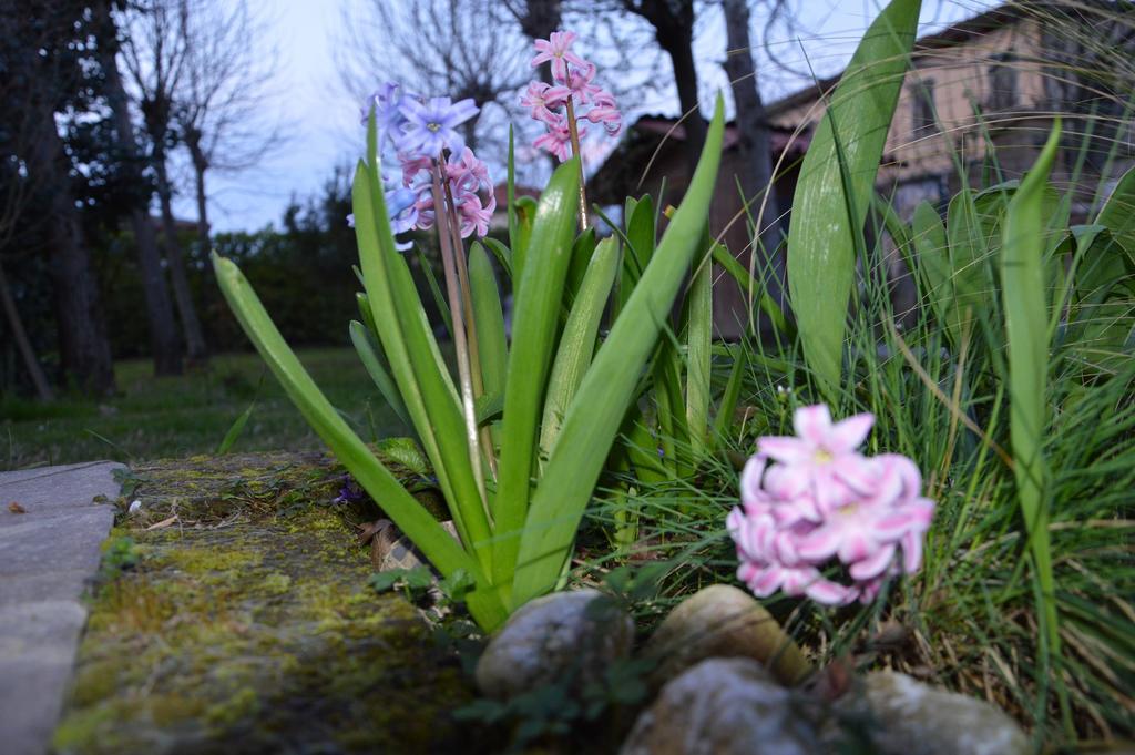 Appartamento Casa Della Nonna Noventa di Piave Exterior photo